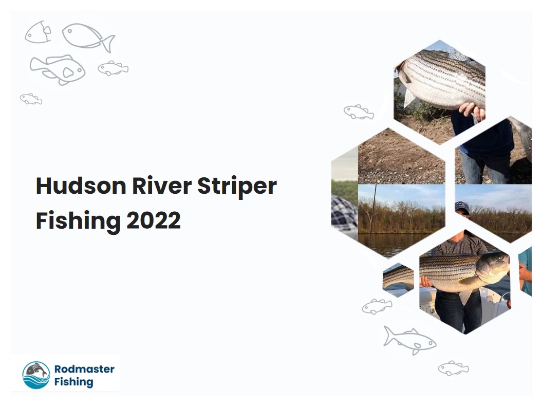 Hudson River Striper Fishing 2022