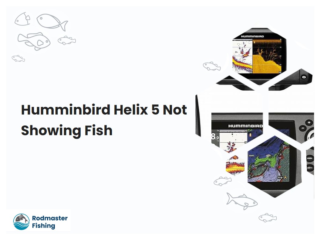 Humminbird Helix 5 Not Showing Fish