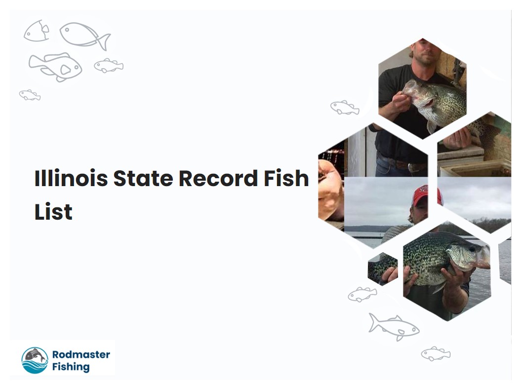 Illinois State Record Fish List