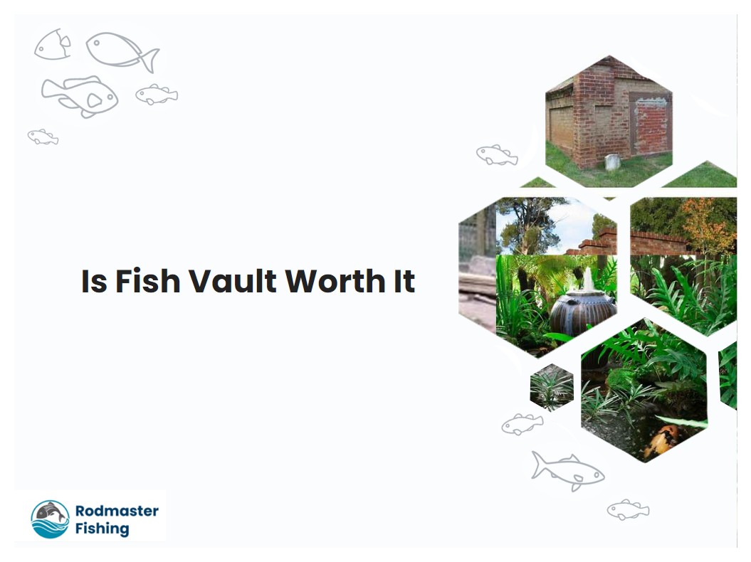 Is Fish Vault Worth It