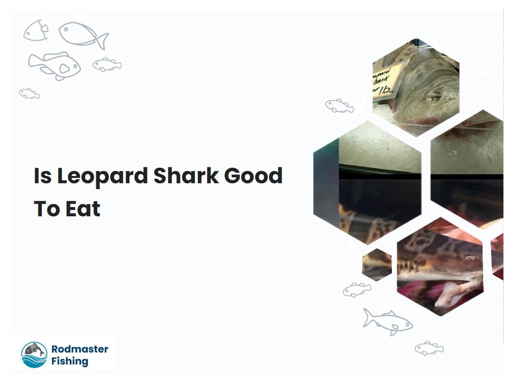 Is Leopard Shark Good To Eat