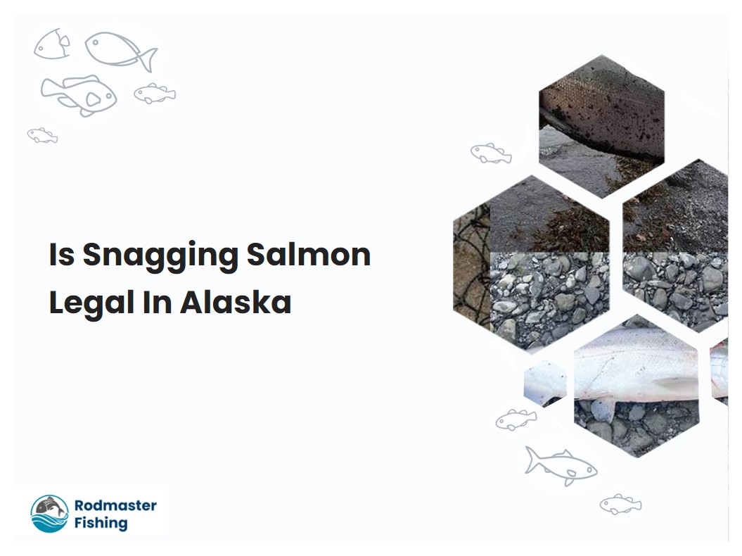 Is Snagging Salmon Legal In Alaska