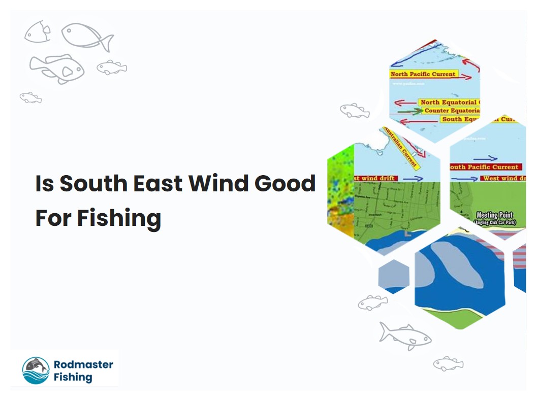 Is South East Wind Good For Fishing