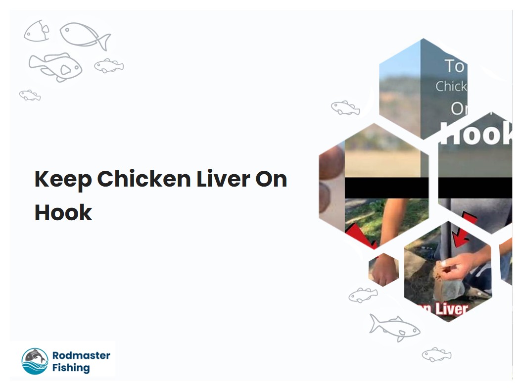 Keep Chicken Liver On Hook