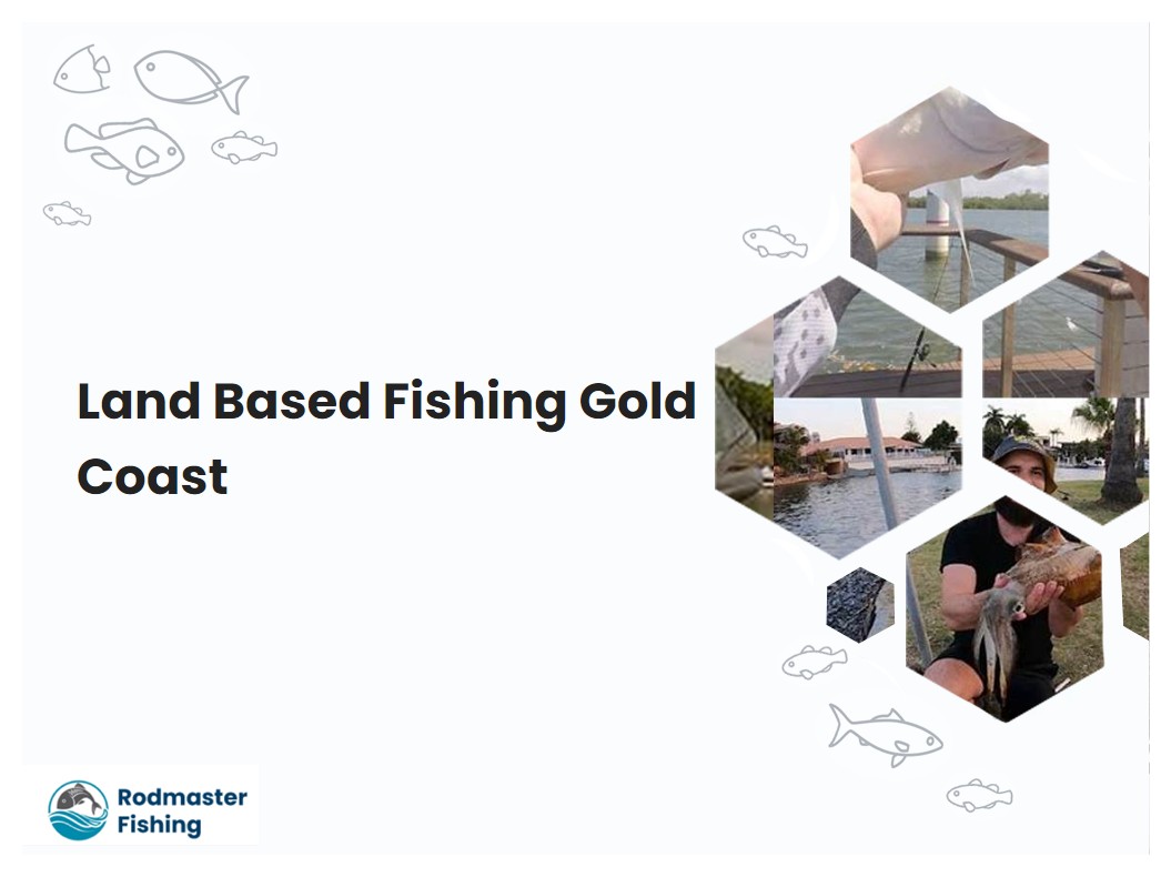 Land Based Fishing Gold Coast