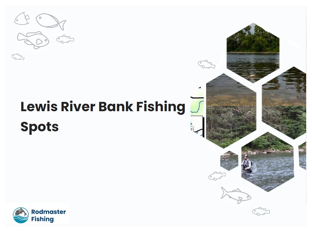 Lewis River Bank Fishing Spots