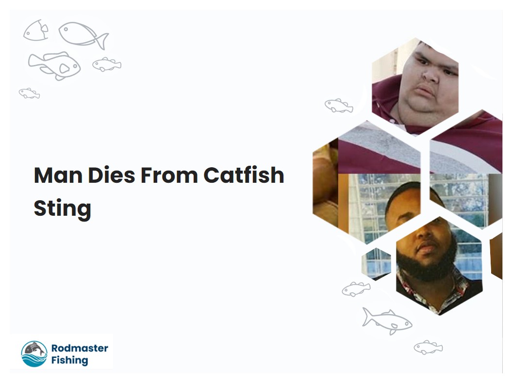 Man Dies From Catfish Sting