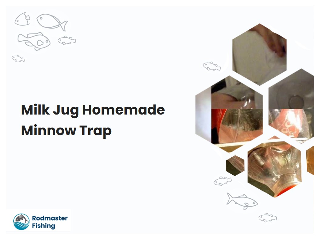 Milk Jug Homemade Minnow Trap