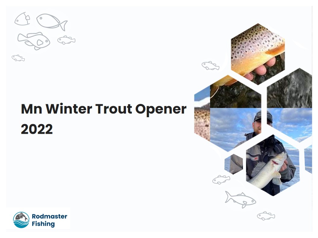 Mn Winter Trout Opener 2022