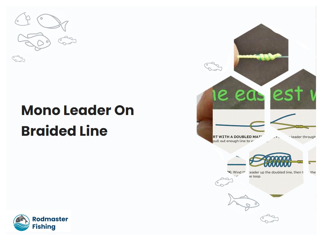 Mono Leader On Braided Line