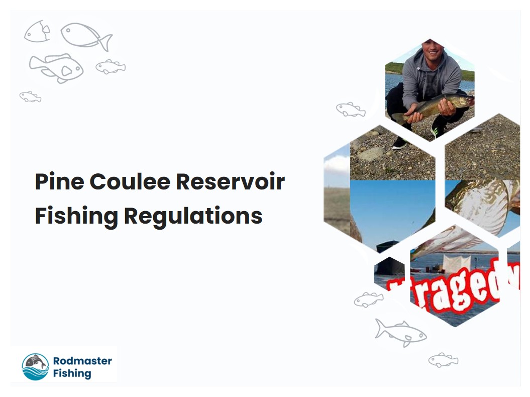 Pine Coulee Reservoir Fishing Regulations