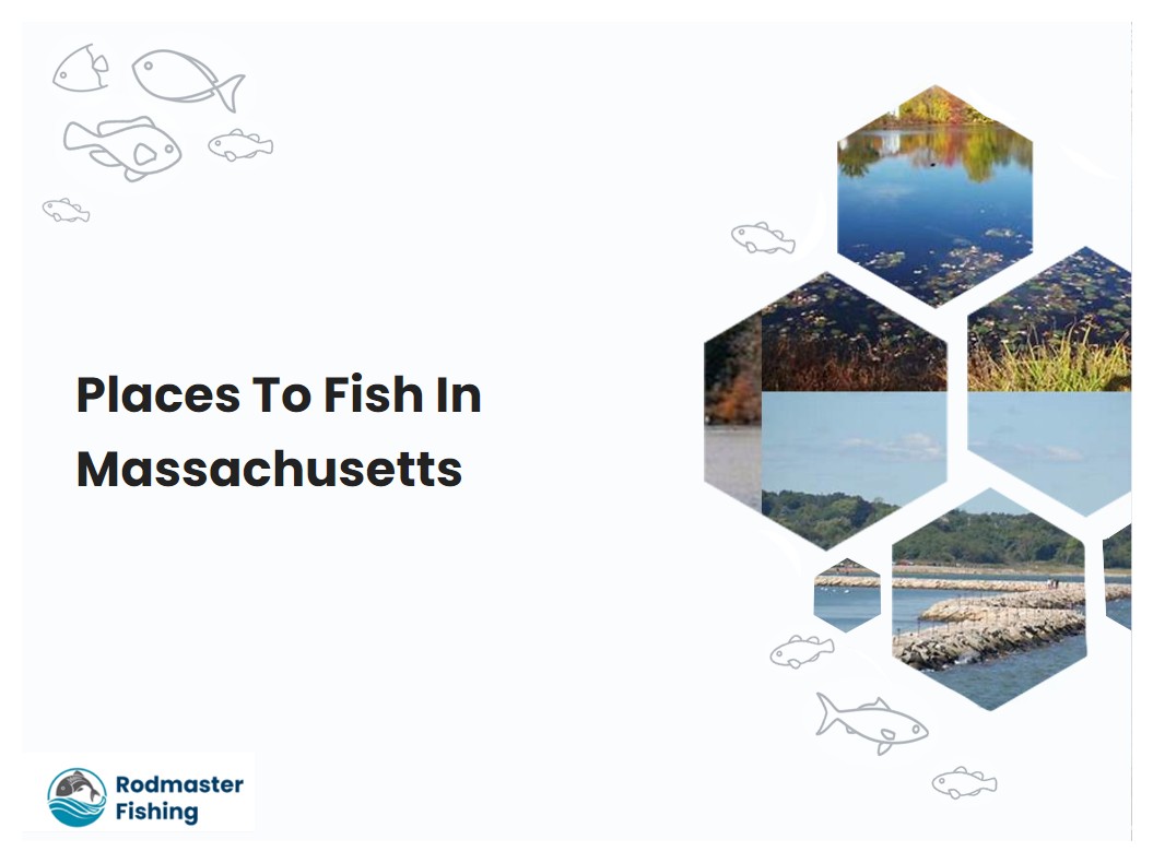 Places To Fish In Massachusetts