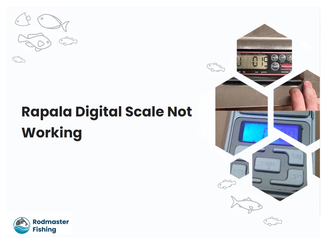 Rapala Digital Scale Not Working