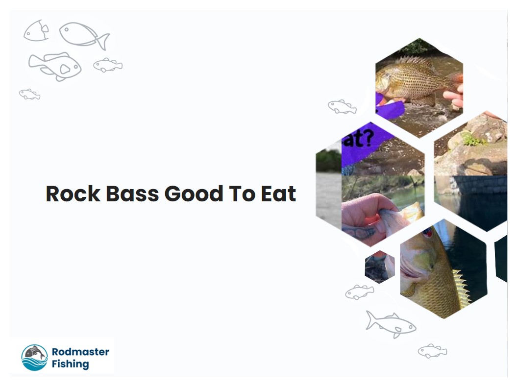 Rock Bass Good To Eat
