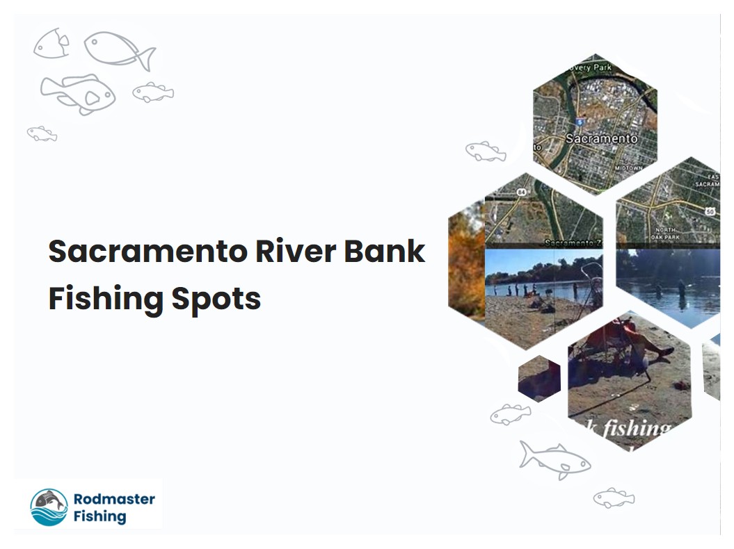 Sacramento River Bank Fishing Spots
