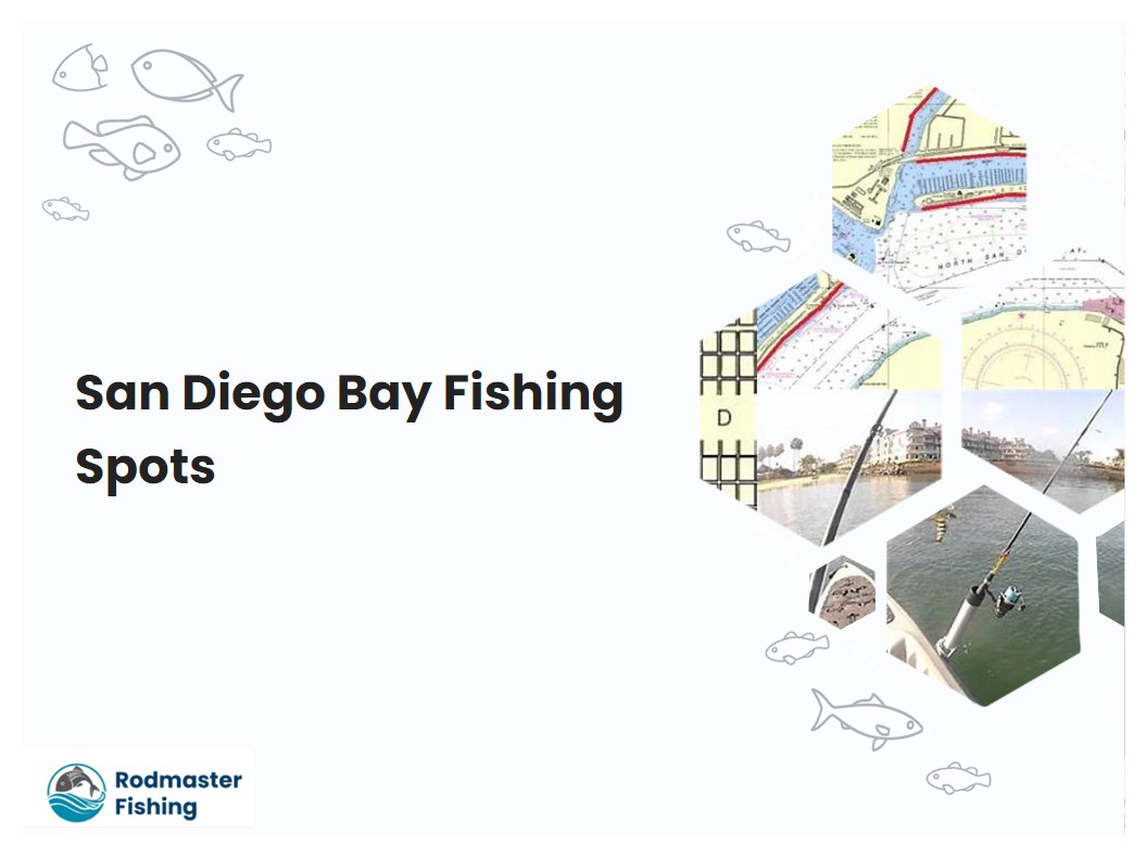 San Diego Bay Fishing Spots