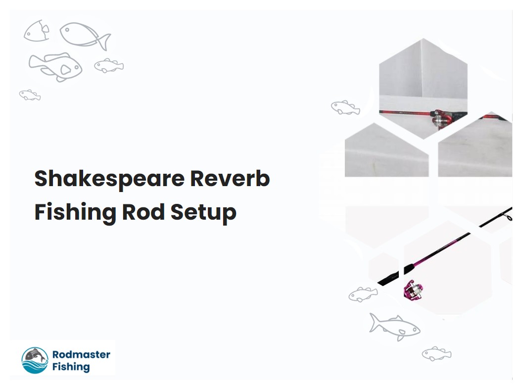 Shakespeare Reverb Fishing Rod Setup