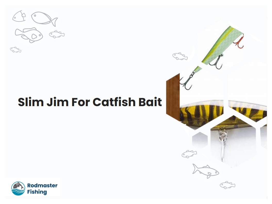 Slim Jim For Catfish Bait