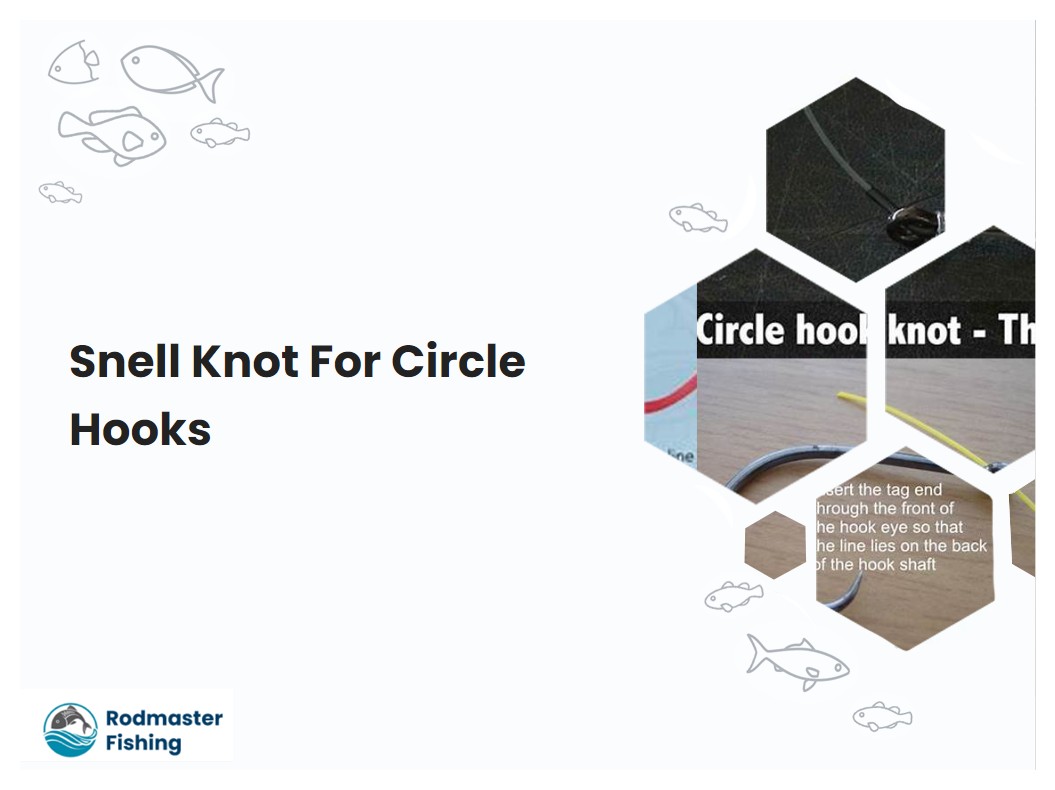 Snell Knot For Circle Hooks