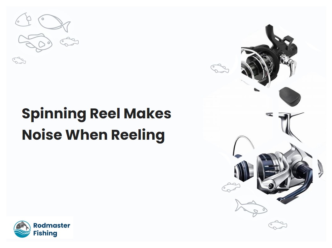 Spinning Reel Makes Noise When Reeling