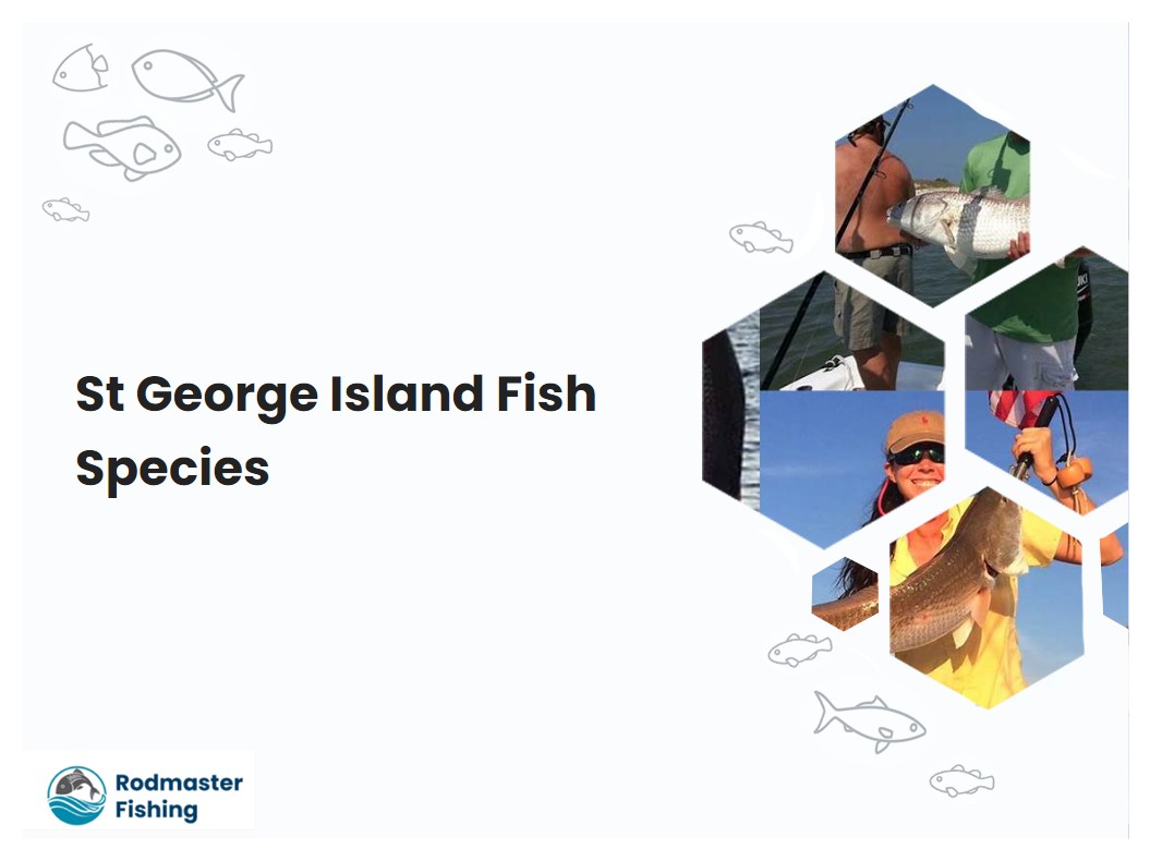 St George Island Fish Species