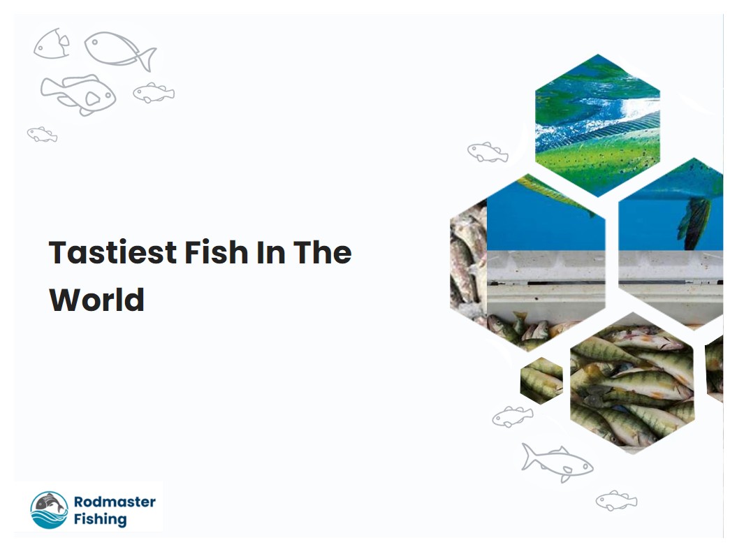 Tastiest Fish In The World