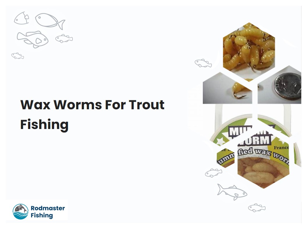 Wax Worms For Trout Fishing