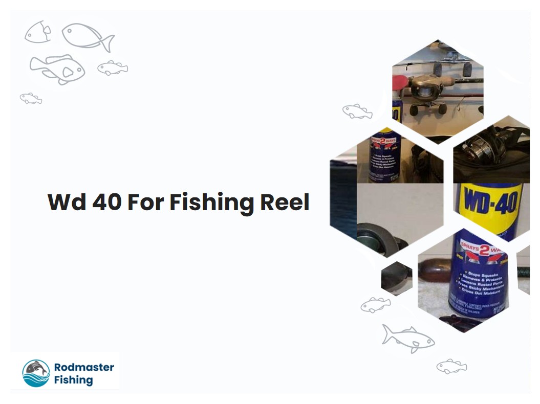 Wd 40 For Fishing Reel