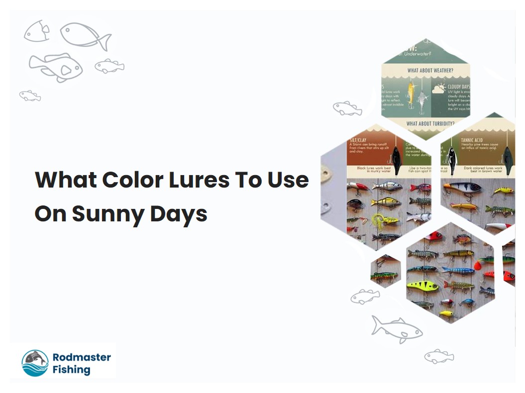 What Color Lures To Use On Sunny Days
