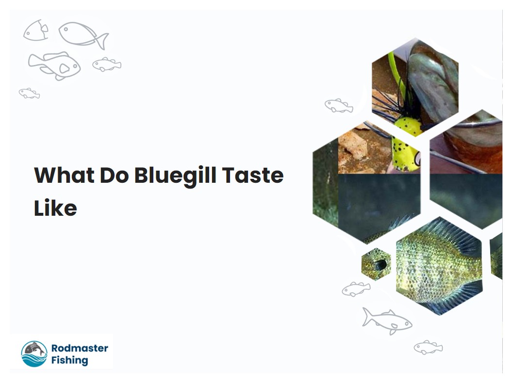 What Do Bluegill Taste Like