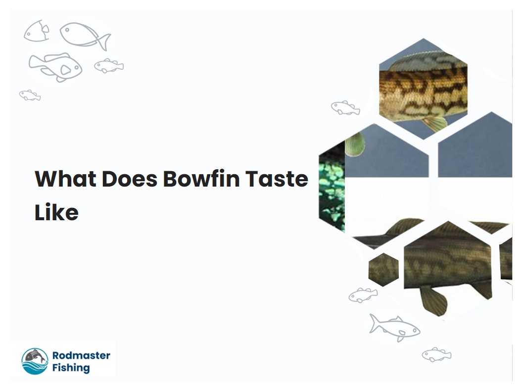 What Does Bowfin Taste Like