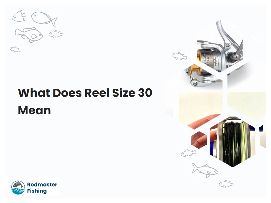 What Does Reel Size 30 Mean
