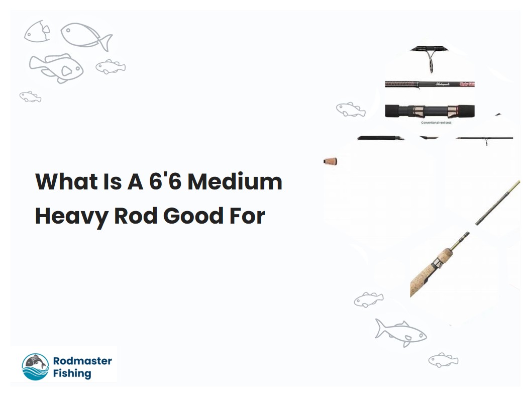 What Is A 66 Medium Heavy Rod Good For