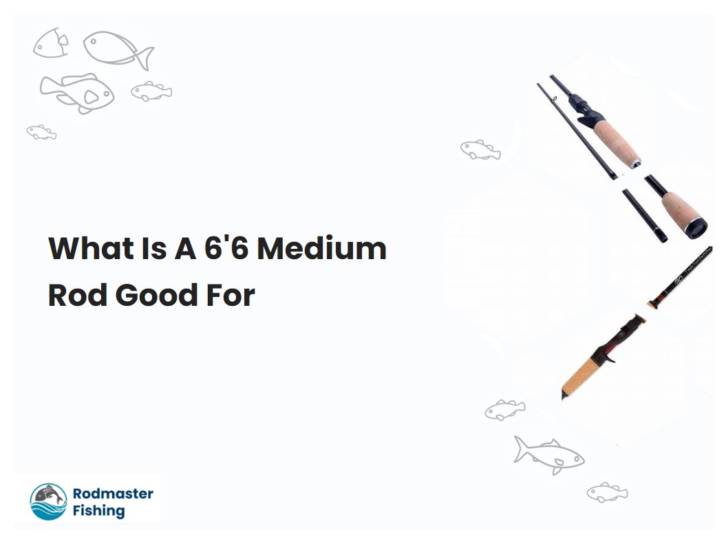 What Is A 66 Medium Rod Good For