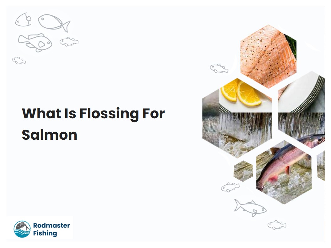 What Is Flossing For Salmon