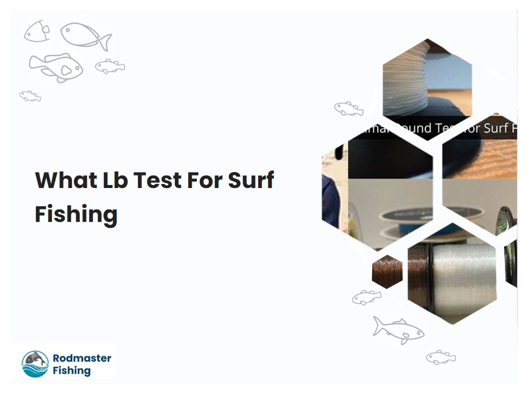 What Lb Test For Surf Fishing
