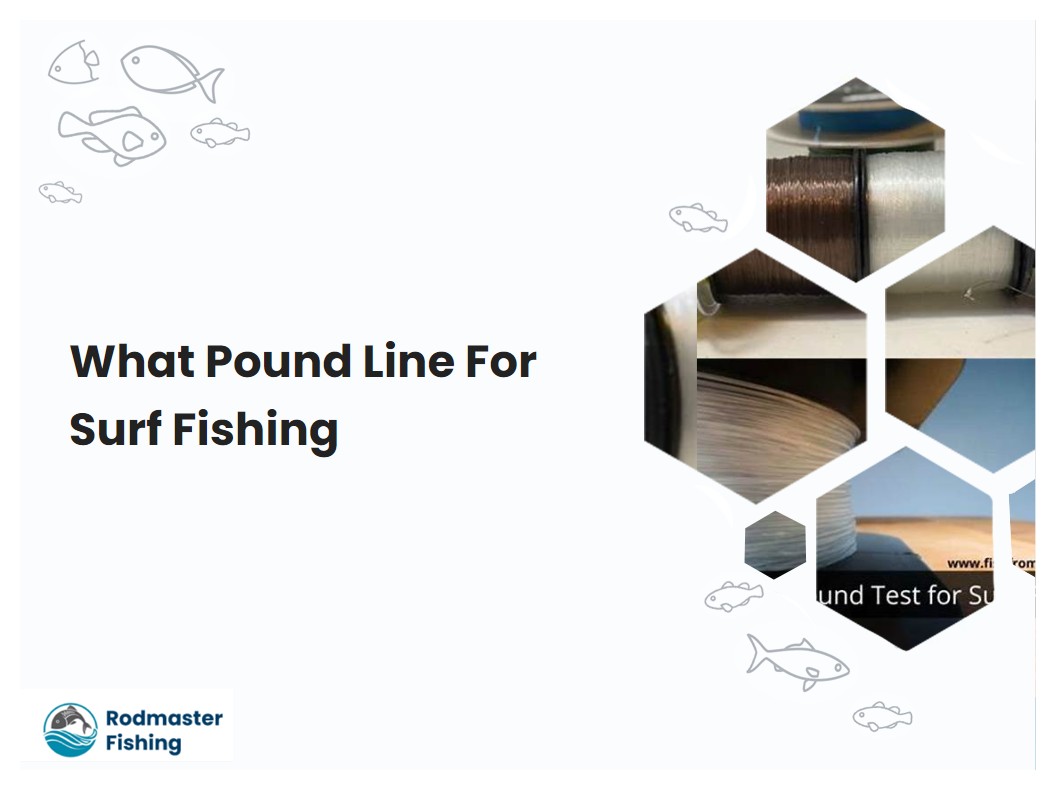 What Pound Line For Surf Fishing