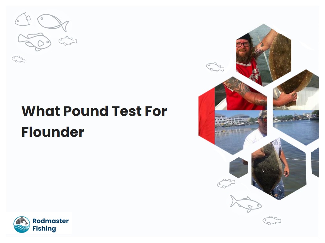What Pound Test For Flounder