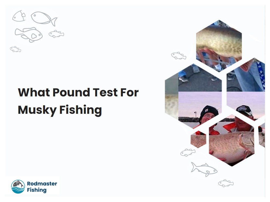 What Pound Test For Musky Fishing