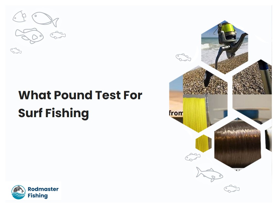 What Pound Test For Surf Fishing