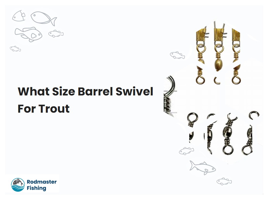 What Size Barrel Swivel For Trout