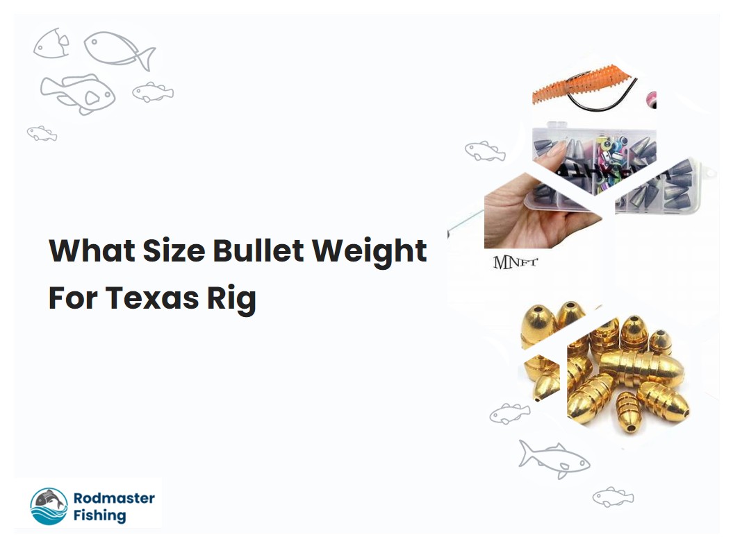 What Size Bullet Weight For Texas Rig