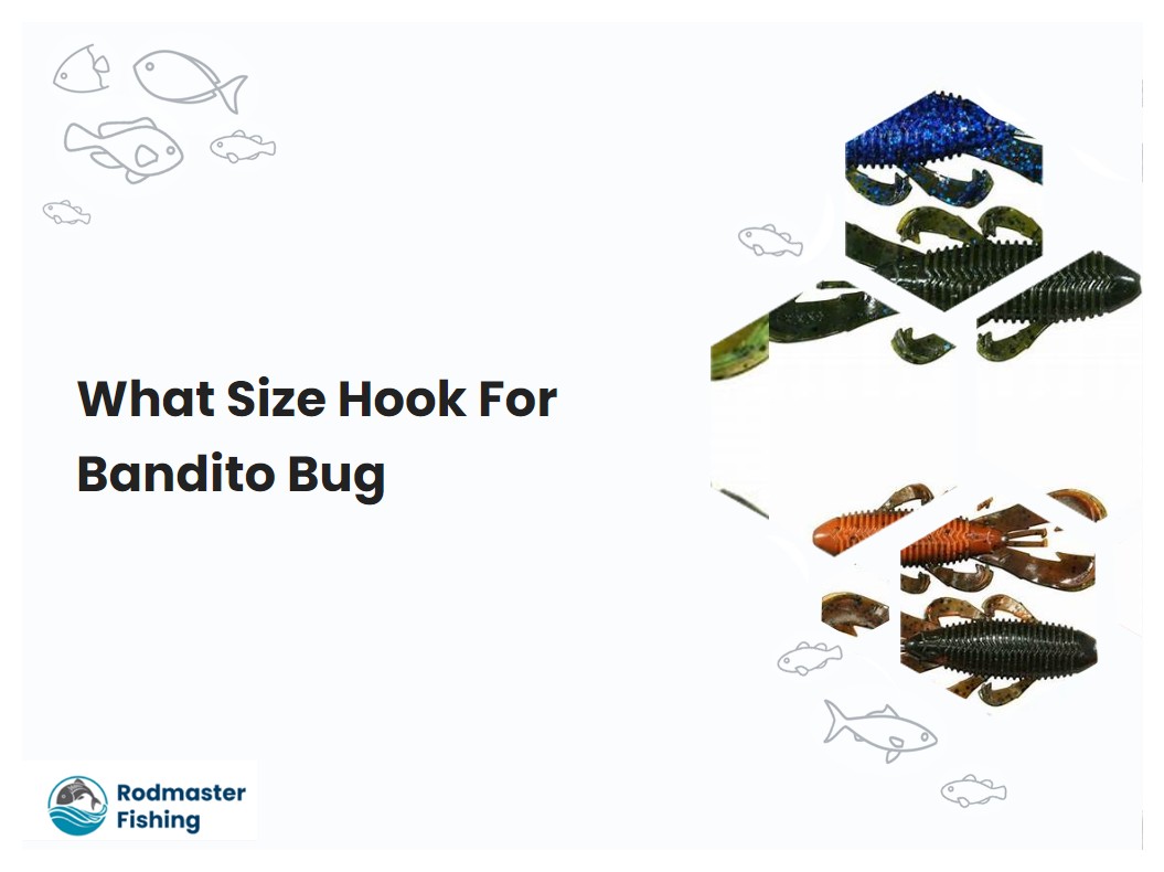 What Size Hook For Bandito Bug