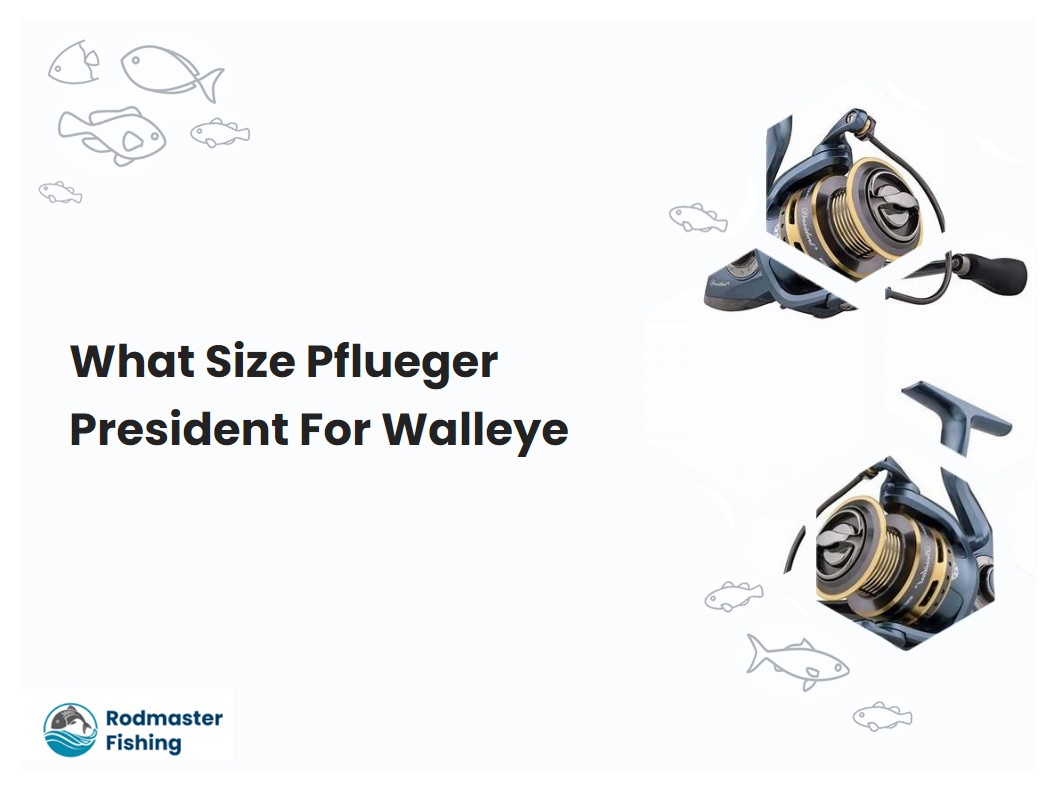 What Size Pflueger President For Walleye