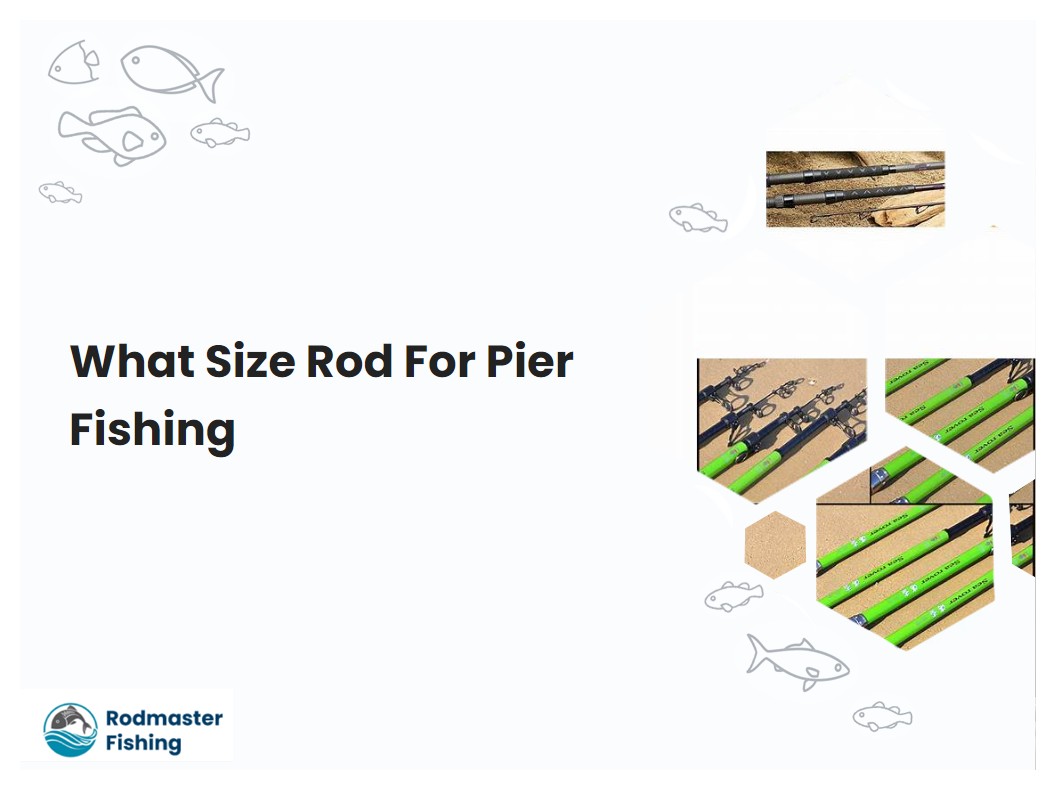 What Size Rod For Pier Fishing