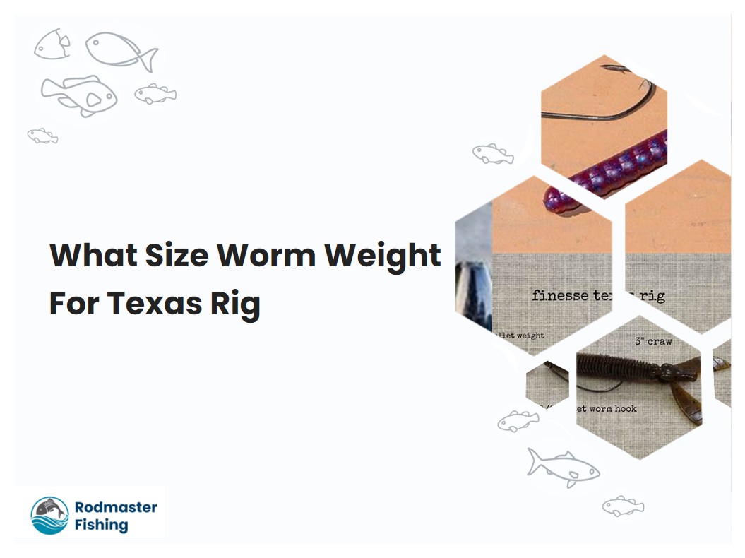 What Size Worm Weight For Texas Rig