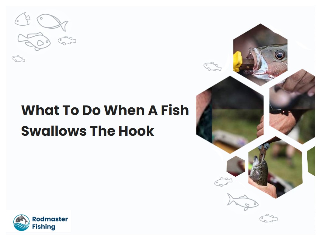 What To Do When A Fish Swallows The Hook