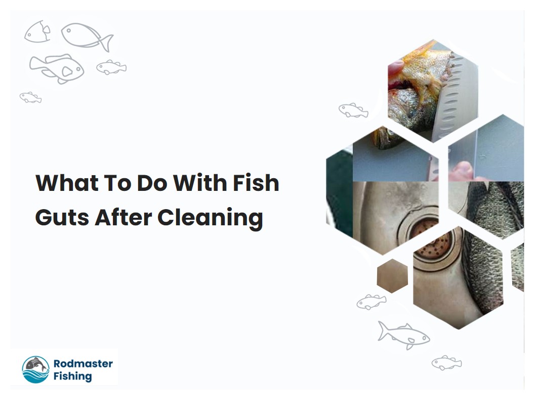 What To Do With Fish Guts After Cleaning