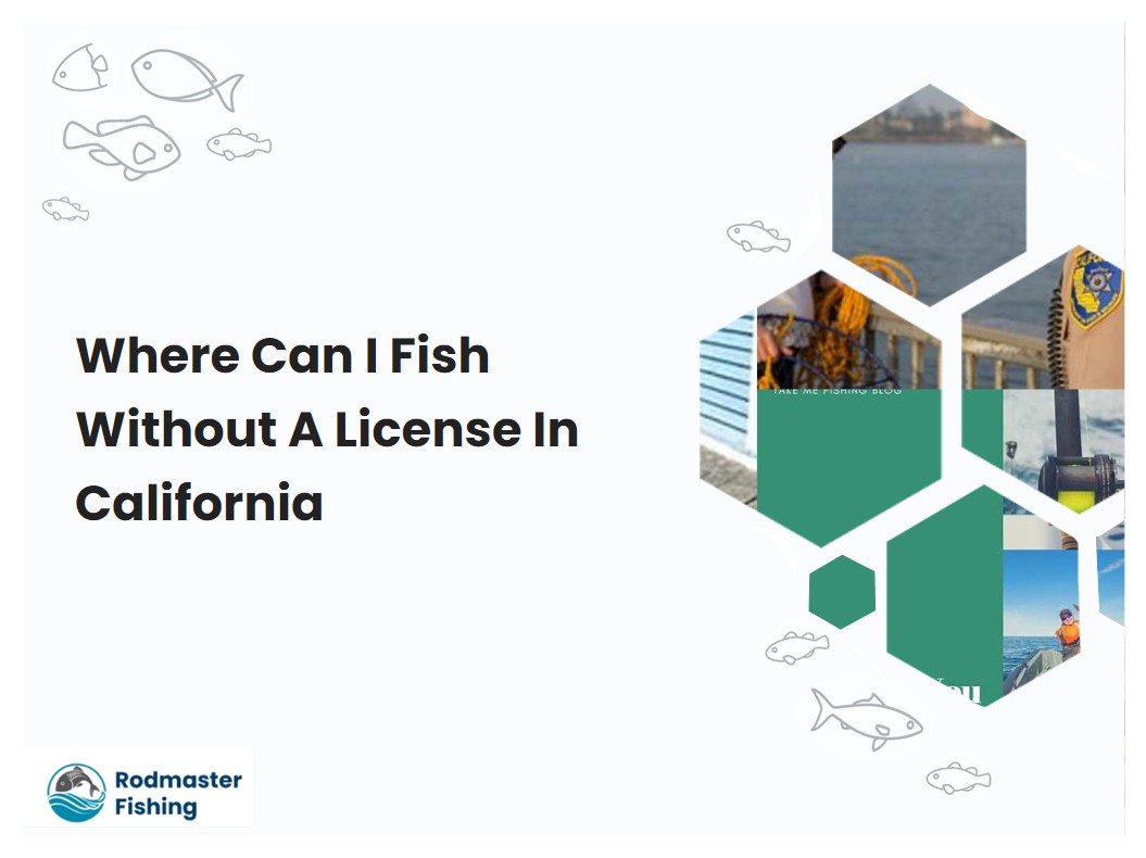 Where Can I Fish Without A License In California