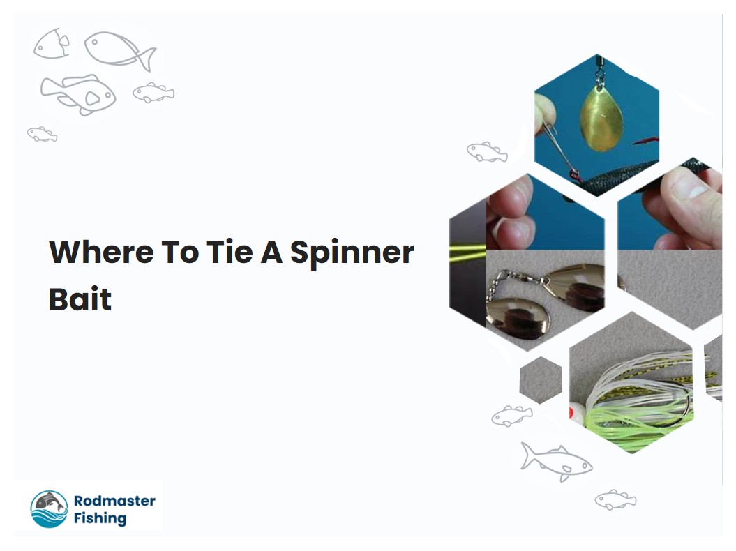 Where To Tie A Spinner Bait